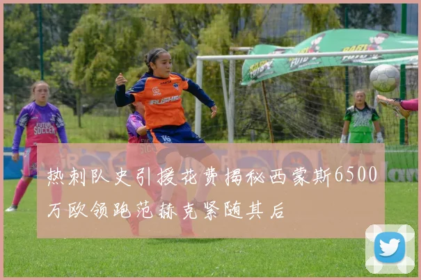 热刺队史引援花费揭秘西蒙斯6500万欧领跑范赫克紧随其后