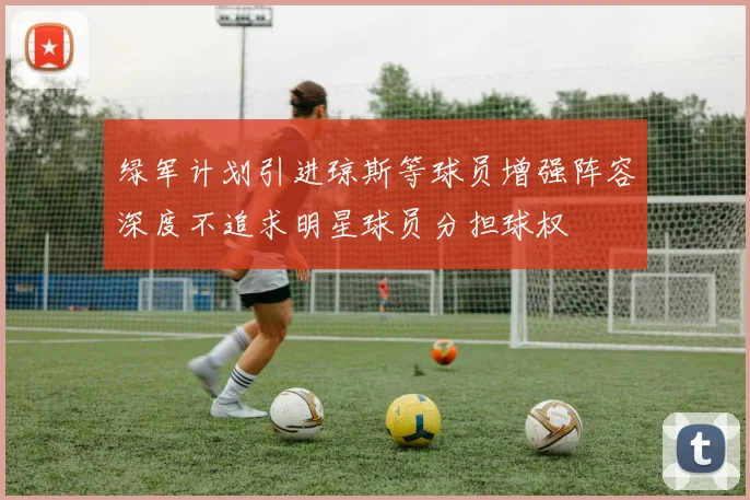 绿军计划引进琼斯等球员增强阵容深度不追求明星球员分担球权